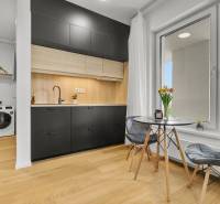 Kuchyně v 1-pokojovém bytě s černým nábytkem, pračkou a podlahou s dřevěným dekorem.
