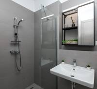 Šedá koupelna se sprchou, umyvadlem a velkým zrcadlem v 1-pokojovém bytě.