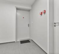 Chodba s dveřmi, světle šedými stěnami a dlažbou v 1-pokojovém bytě.