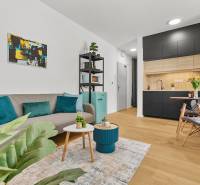 Obývací pokoj s pohovkou, dekorativními polštáři a podlahou s dřevěným dekorem v 1pokojovém bytě.