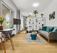 Světlý 1-pokojový byt s podlahou s dřevěným dekorem, pohovkou a jídelním koutem.