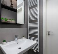 Koupelna v 1-pokojovém bytě s umyvadlem, žebříkovým radiátorem a úložnými policemi.