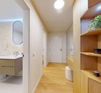 Koupelna s pračkou a umyvadlem, vstupní chodba s dřevěným dekorem v 1-pokojovém bytě.