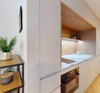 Kuchyně v 1-pokojovém bytě se zabudovanými spotřebiči a poličkou s rostlinou.