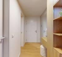 Chodba v 1-pokojovém bytě s bílými dveřmi a podlahou s dřevěným dekorem.
