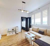 Obývací pokoj v 3-pokojovém bytě s podlahou s dřevěným dekorem a pohodlnou šedou sedačkou.