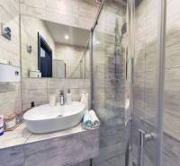 Koupelna s umyvadlem a sprchovým koutem v 3-pokojovém bytě s dřevěným dekorem.