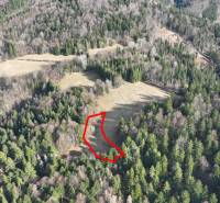 Louky a lesy v Lazy pod Makytou se rozprostírají mezi hustými stromy.