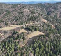 Lesnatá krajina a louky v blízkosti Lazy pod Makytou, zemědělské a lesní pozemky.