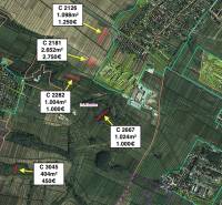 Letecký pohled na rozdělení zemědělských a lesních pozemků v Hozelec.