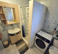 Koupelna v rodinném domě s umyvadlem, sprchovým koutem, pračkou a WC.