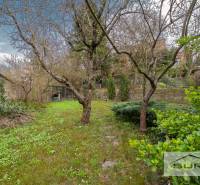 Zahrada u 4pokojového bytu na Krčméryho ulici v Bratislavě - Starém Městě.