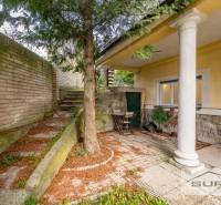 Exteriér 4-pokojového bytu na Krčméryho v Bratislavě - Staré Město se stromem a schodištěm.