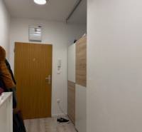 Vstupní chodba v 2-pokojovém bytě, bílé stěny a dveře, podlaha s dřevěným dekorem.