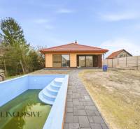 Rodinný dům v Horním Mýtě s bazénem a dlážděným chodníkem na zahradě.