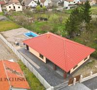 Rodinný dům v Horním Mýtě s bazénem a velkou zahradou obklopený zelení.