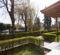 Zahrada s chodníkem a zaparkovaná auta na Lomnické ulici v Košicích, městská část Sever.