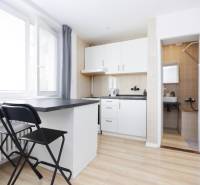 Kuchyně v 2-pokojovém bytě s barovým pultem a podlahou s dřevěným dekorem.