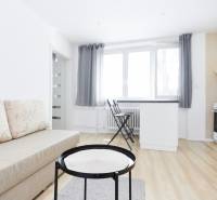 Obývací pokoj v 2-pokojovém bytě s pohovkou a podlahou s dřevěným dekorem.