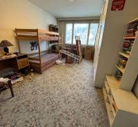 Pokoj v 2-pokojovém bytě s patrovou postelí, kobercem a regály plnými knih.