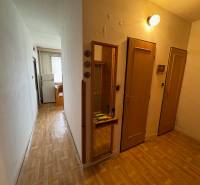 Chodba 2pokojového bytu s podlahou s dřevěným dekorem, světlými stěnami a zrcadlem.