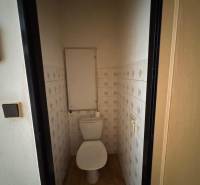 Toaleta s dlažbou a podlahou s dřevěným dekorem v 2-pokojovém bytě.