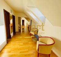 Chodba s podlahou s dřevěným dekorem, střešními okny a pohodlnými křesly v rodinném domě.