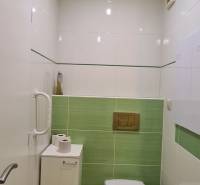 Koupelna v 3-pokojovém bytě se zeleným keramickým obkladem a moderním sanitárním zařízením.