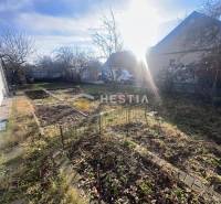 Zahrada s holými stromy a oplocenými záhony v Senici, osvětlená slunečními paprsky.