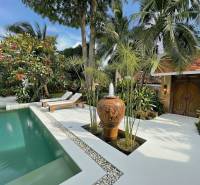 Pohled na luxusní vilu v Pattayi s bazénem a exotickou zahradou.