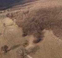 Louky a lesní porosty v okolí Príbeliec. Zemědělské a lesní pozemky s cestou.