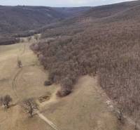 Kopcovitá krajina v okolí Príbeliec se směsí lesů a zemědělských pozemků.