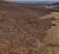 Lesní pozemky v okolí Príbeliec s polní cestou a listnatým lesem na svahu.