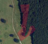 Ortofotomapa zemědělských a lesních pozemků v oblasti Príbelce, s vyznačenými parcelami.