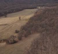 Podzimní krajina zemědělských a lesních pozemků v okolí Príbeliec s cestními stopami.