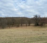 Zemědělské a lesní pozemky v Príbelciach s listnatými stromy a zamračenou oblohou.