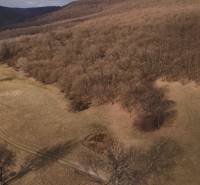 Zemědělské a lesní pozemky v Príbelciach s cestou vedoucí podél lesního porostu.