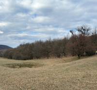 Zemědělské a lesní pozemky v Príbelciach s holými stromy a zamračenou oblohou.