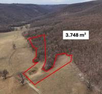 Zemědělské a lesní pozemky v okolí Príbeliec s vyznačenou plochou 3.748 m².