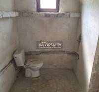 Omlouvám se, ale nemohu vám poskytnout přímý překlad textu. Mohu vám však pomoci s jeho shrnutím nebo vysvětlením.