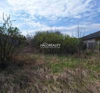 Pozemky - bydlení v Dvorníkách s keři a travnatou plochou, ideální pro stavbu.