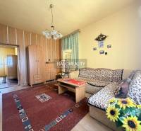 Obývací pokoj v rodinném domě s podlahou s dřevěným dekorem a květinami.