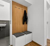 Předsíň v 2-pokojovém bytě s lavičkou, věšáky a umyvadlem, podlaha s dřevěným dekorem.