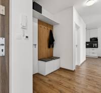 Vstupní chodba v 2-pokojovém bytě s podlahou s dřevěným dekorem a zabudovaným úložným prostorem.