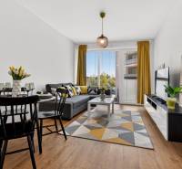 Obývací pokoj v 2-pokojovém bytě s podlahou s dřevěným dekorem, pohovkou a jídelním stolem.