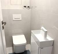 Toaleta s umyvadlem ve 2-pokojovém bytě, světlé obklady a modrý koberec.