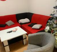 Obývací pokoj v 2-pokojovém bytě s čalouněným nábytkem a vánočními dekoracemi.