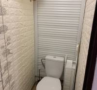 Toaleta s rolovacími dveřmi a dekorativní stěnou v 2-pokojovém bytě.