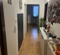 Chodba s podlahou s dřevěným dekorem, komodou a dekoracemi, 2-pokojový byt.