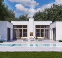 Rodinný dům v Dolní Seči se zahradním bazénem a terasou obklopenou zelení.